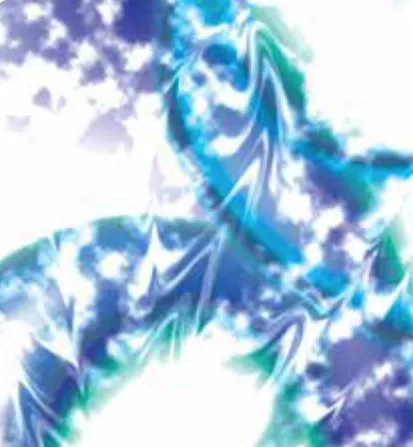 Hocsocx-Rash Guards