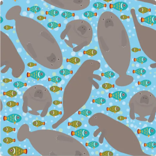 Hocsocx-Rash Guards